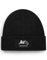 Aeroholix Beanie